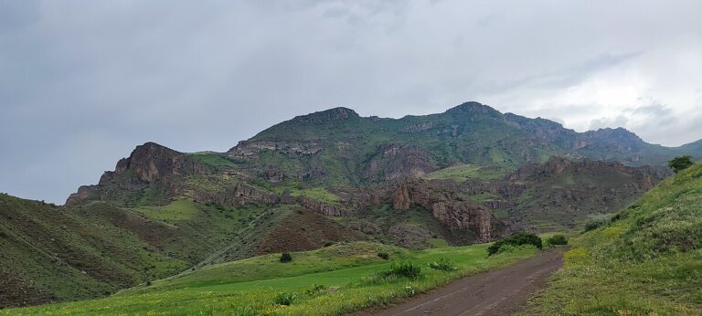 Գոմադրունք