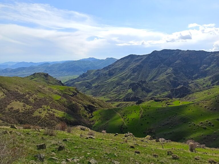 Ռինդ, Ուլգյուր