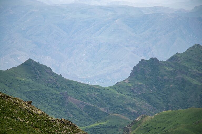 Ծաղկադրունք
