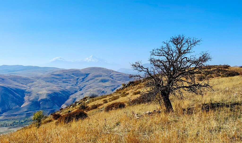 View from Mount Gomadrunk