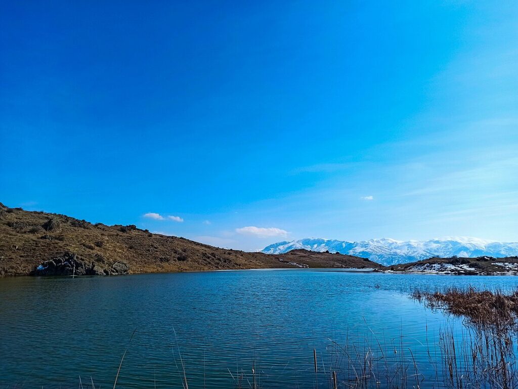 Yeghegnalich, Rind