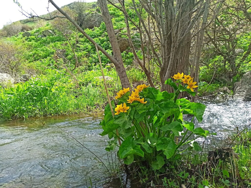 Յոթ ընտանիք և մեկ տարվա քրտնաջան աշխատանք